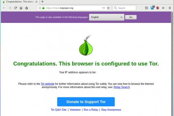Tor browser даркнет